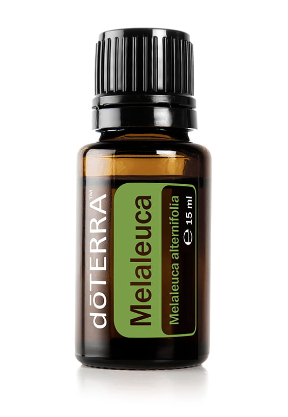 doTERRA Tea Tree